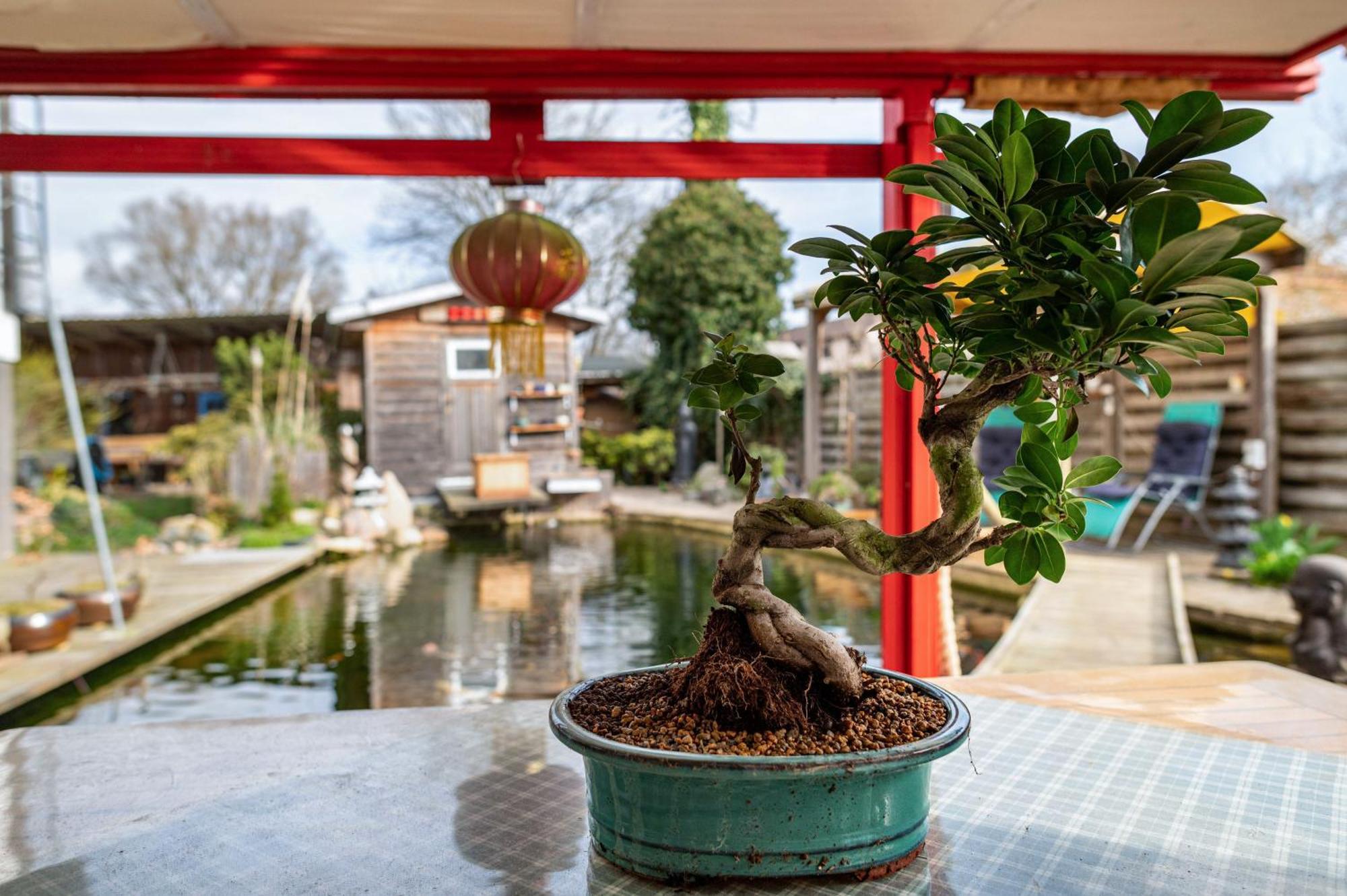 Am Teich Apartment Bützow Екстериор снимка