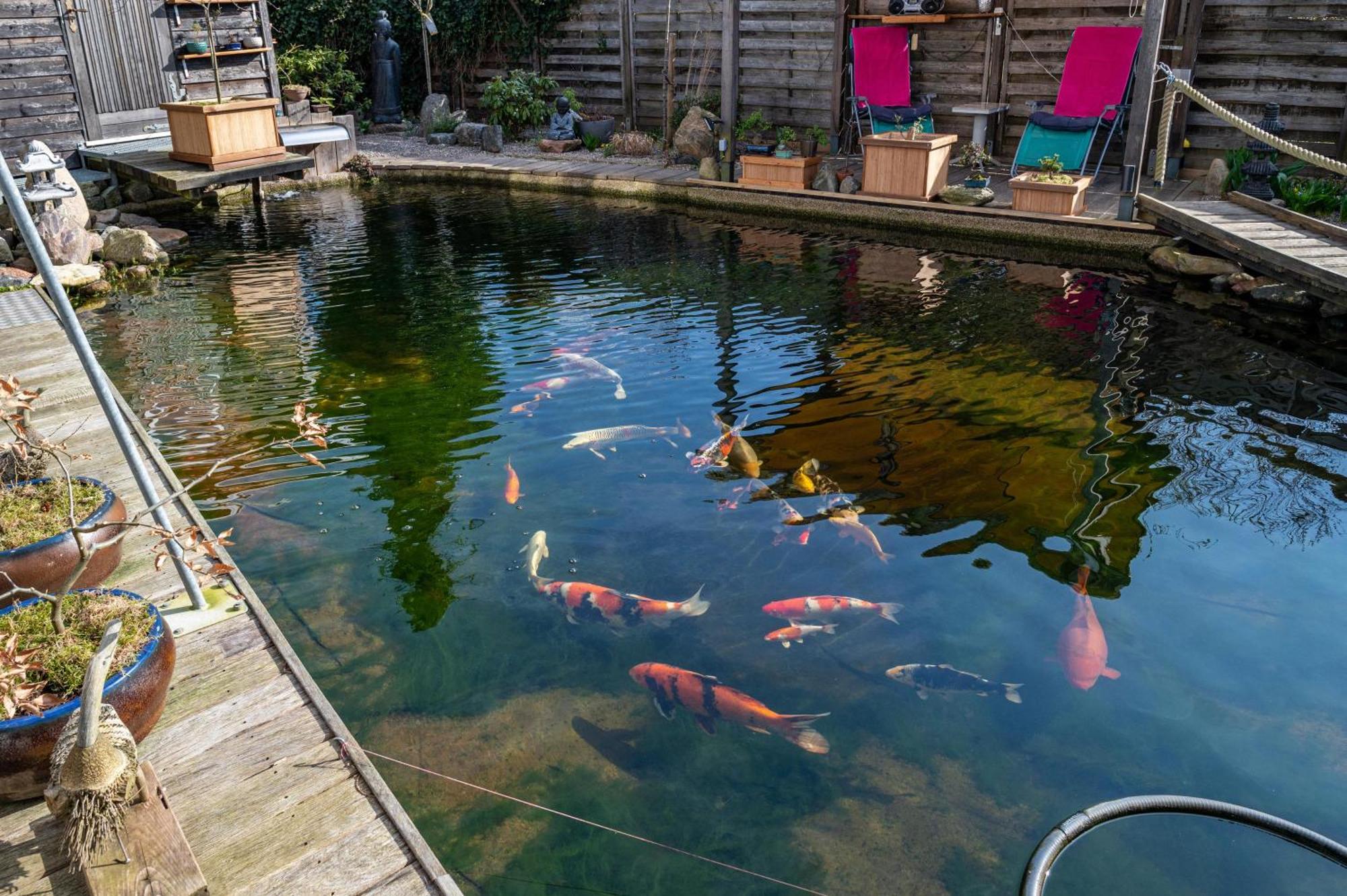 Am Teich Apartment Bützow Екстериор снимка